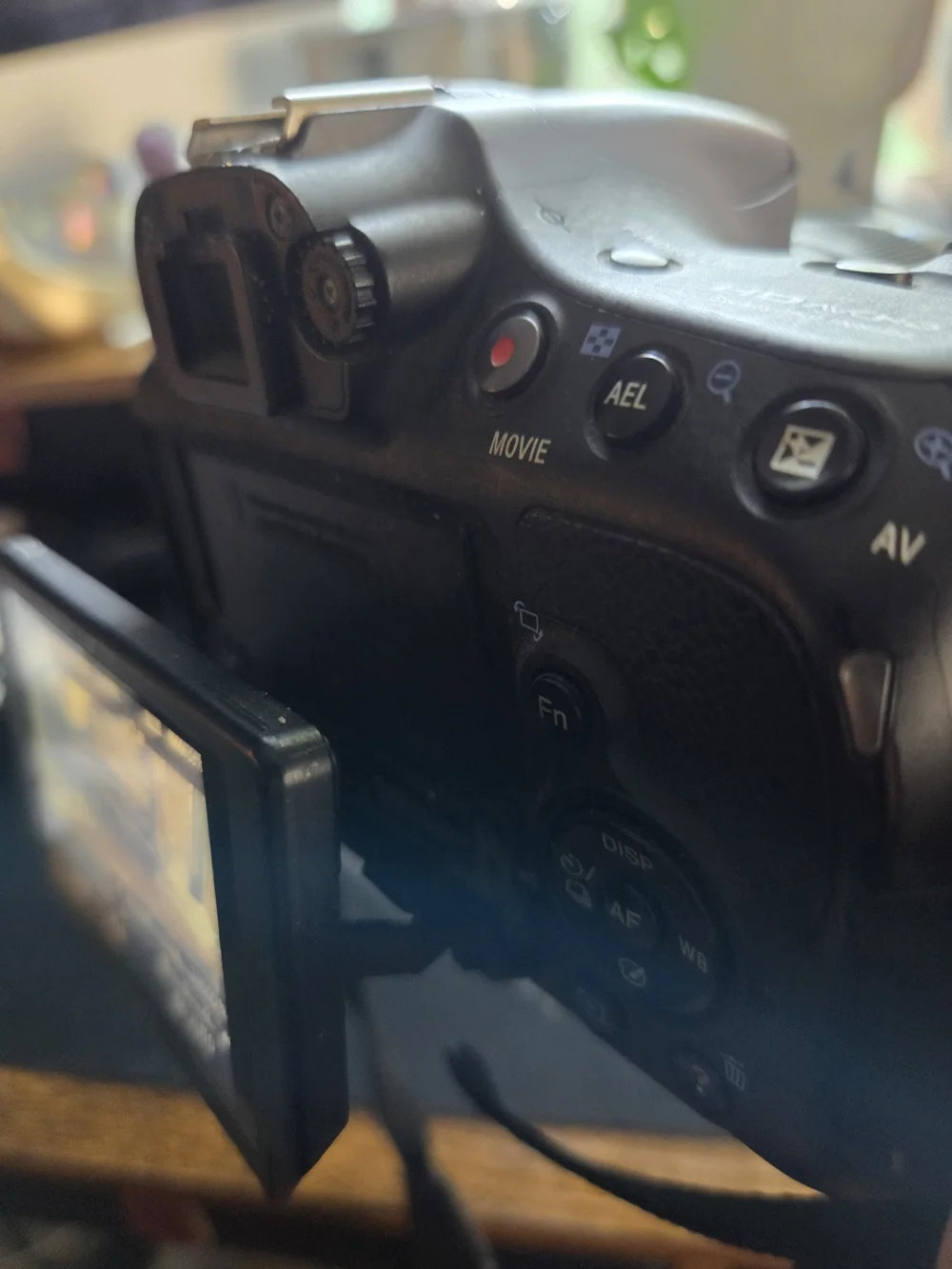 Sony Black DSLR Camera with Built-in Flash